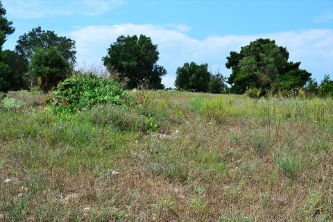 11500m² Land in Chalkidiki, Greece No. 59694 2