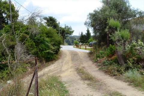 11500m² Land in Chalkidiki, Greece No. 59694 3