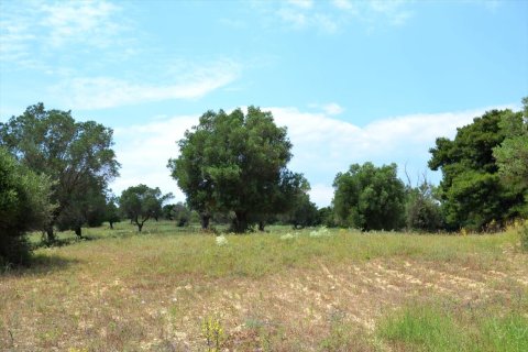 11500m² Land in Chalkidiki, Greece No. 59694 1