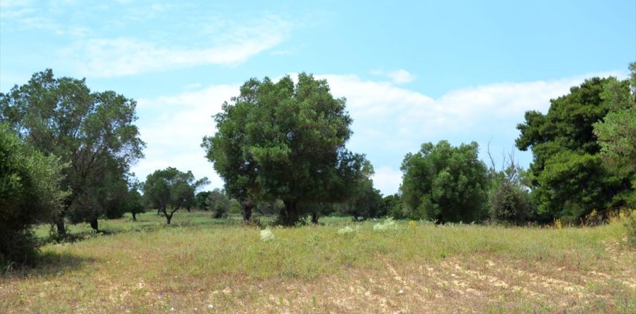 11500m² Land in Chalkidiki, Greece No. 59694