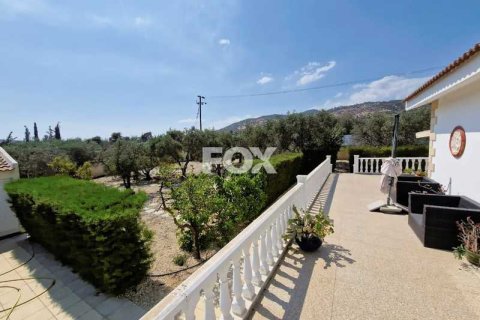 5 bedrooms Villa in Parekklisia, Cyprus No. 76205 15