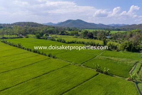 20 bedrooms Land in Chiang Mai, Thailand No. 1342 7