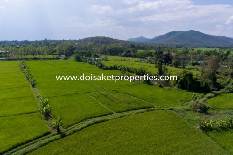 20 bedrooms Land in Chiang Mai, Thailand No. 1342 6