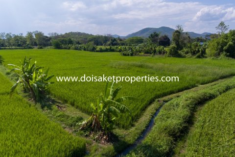 20 bedrooms Land in Chiang Mai, Thailand No. 1342 5