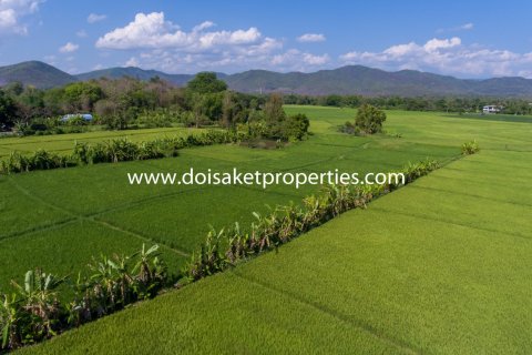 20 bedrooms Land in Chiang Mai, Thailand No. 1342 8