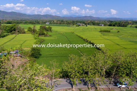 20 bedrooms Land in Chiang Mai, Thailand No. 1342 4