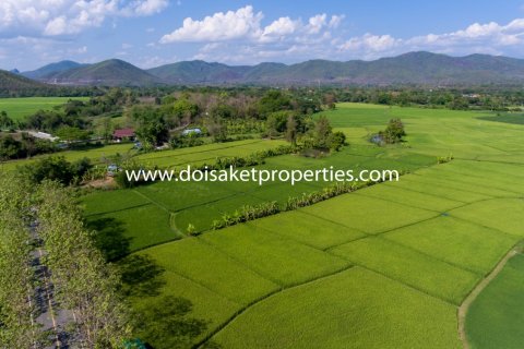 20 bedrooms Land in Chiang Mai, Thailand No. 1342 3