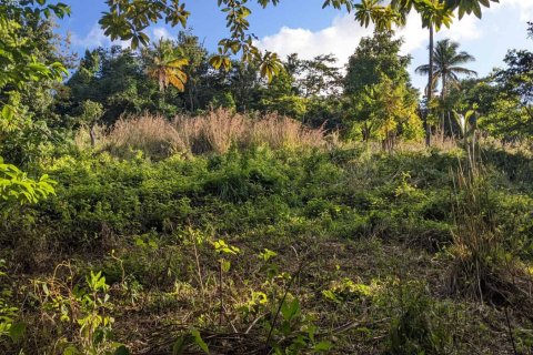 Land à Warner, Dominica No. 66258 2