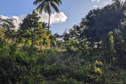 Land in Warner, Dominica No. 66258 5