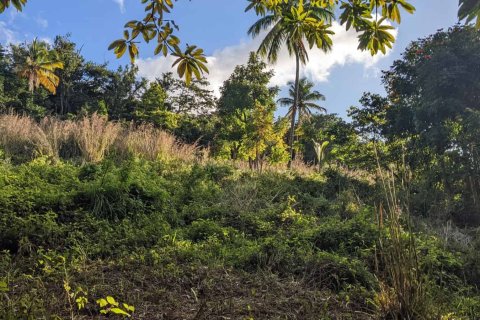 Land à Warner, Dominica No. 66258 3