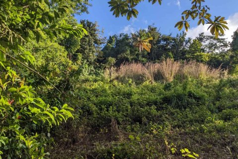 Land in Warner, Dominica No. 66258 4