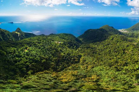 680277m² Land à Pointe Michel, Dominica No. 66253 4