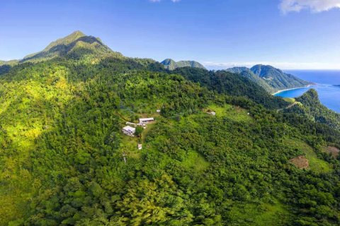 680277m² Land en Pointe Michel, Dominica No. 66253 2