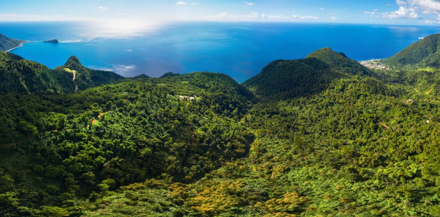 680277m² Land à Pointe Michel, Dominica No. 66253