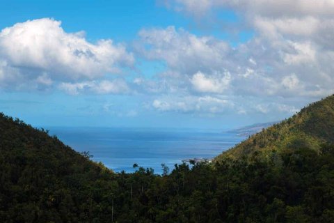 680277m² Land à Pointe Michel, Dominica No. 66253 6