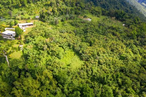 680277m² Land à Pointe Michel, Dominica No. 66253 9