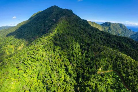 680277m² Land in Pointe Michel, Dominica No. 66253 3