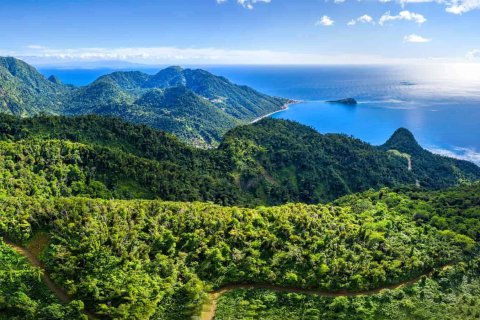 680277m² Land in Pointe Michel, Dominica No. 66253 8