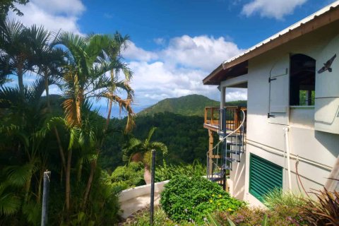 2 chambres House à Pointe Michel, Dominica No. 66254 2