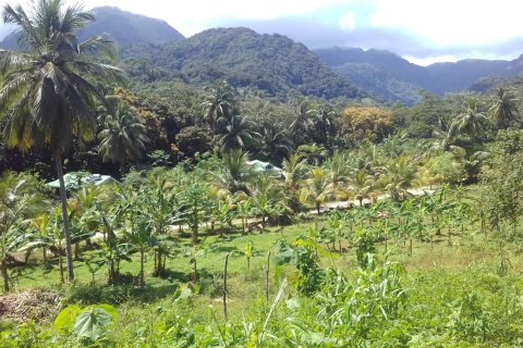 2787m² Land à La Plaine, Dominica No. 66257 5