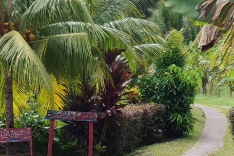 2787m² Land in La Plaine, Dominica No. 66257 4