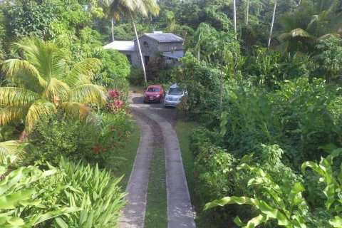 2787m² Land en La Plaine, Dominica No. 66257 3