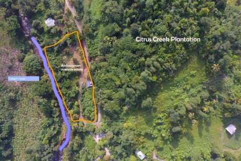 2787m² Land à La Plaine, Dominica No. 66257 1