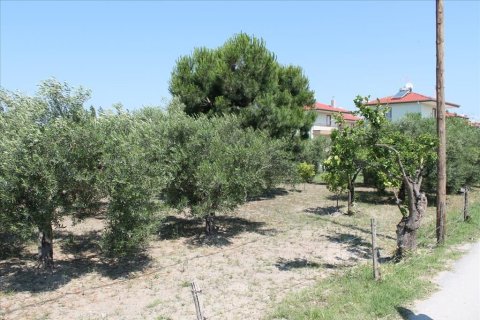 1000m² Land in Chalkidiki, Greece No. 56173 2