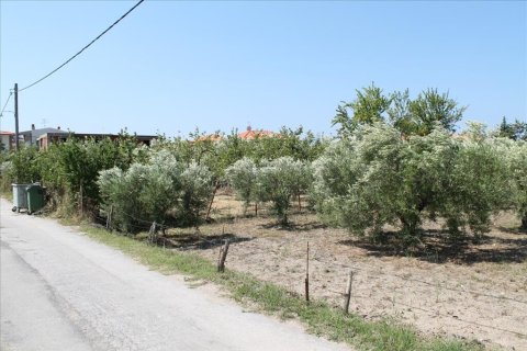 1000m² Land en Chalkidiki, Greece No. 56173 3