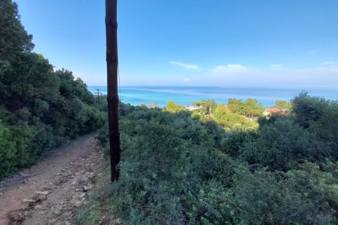 2704m² Land in Chalkidiki, Greece No. 56169 2