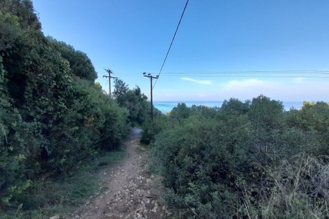 2704m² Land in Chalkidiki, Greece No. 56169 3