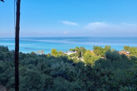 2704m² Land in Chalkidiki, Greece No. 56169 1