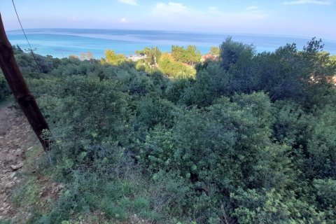 2704m² Land à Chalkidiki, Greece No. 56169 4