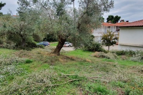 1424m² Land en Chalkidiki, Greece No. 56172 3