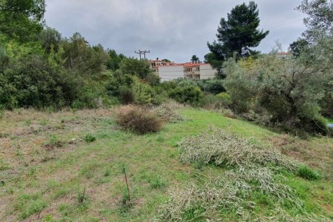 1424m² Land in Chalkidiki, Greece No. 56172 2