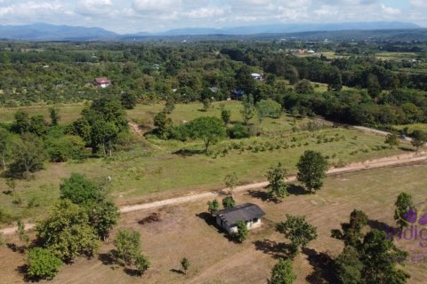 20 dormitorios Land en Chiang Mai, Thailand No. 1323 11