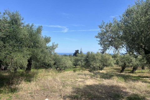 Land in Zakynthos, Greece No. 69583 8