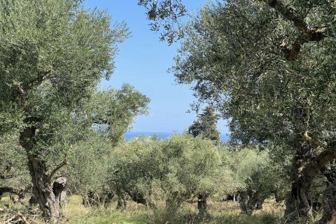 Land in Zakynthos, Greece No. 69583 16