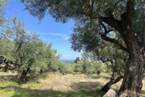 Land in Zakynthos, Greece No. 69583 14