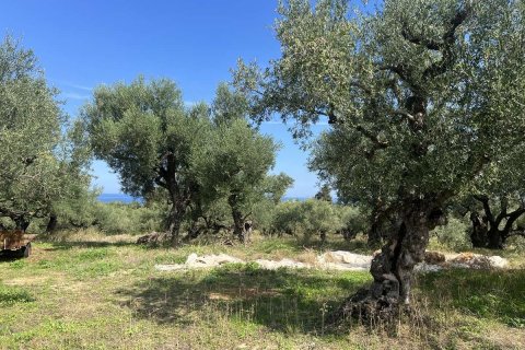 Land in Zakynthos, Greece No. 69583 15