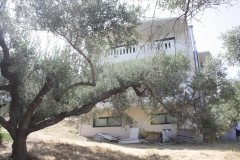 3 bedrooms Villa in Chania, Greece No. 50411 15