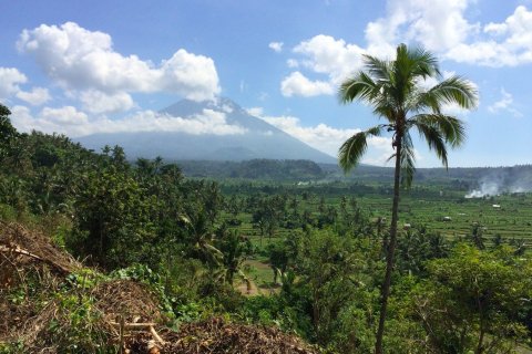 Land en Karangasem, Indonesia No. 22804 7