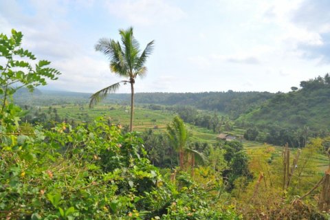 Land en Karangasem, Indonesia No. 22804 1