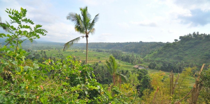 Land in Karangasem, Indonesia No. 22804