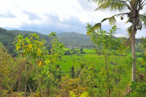 Land à Karangasem, Indonesia No. 22804 3