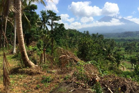 Land in Karangasem, Indonesia No. 22804 6