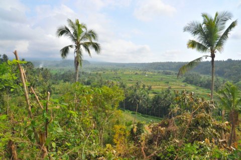 Land in Karangasem, Indonesia No. 22804 4