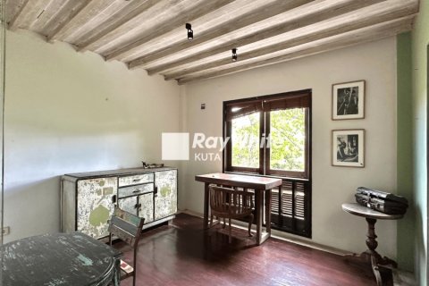 5 bedrooms Villa in Kerobokan, Indonesia No. 22957 4