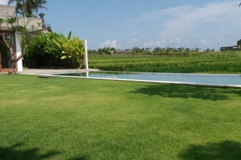 8 bedrooms Villa in Canggu, Indonesia No. 22907 8