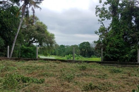 1500m² Land in Kerambitan, Indonesia No. 22961 2